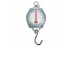 Hanging scale 