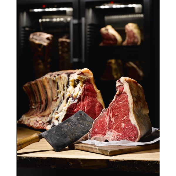 Mėsos brandinimo spinta „Dry Ager“ DX1000 Premium  S (8)
